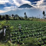 Kompas Bike Jateng Gayeng STPT Day2 3